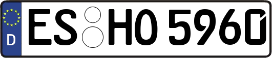 ES-HO5960