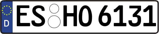 ES-HO6131