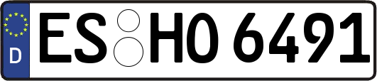 ES-HO6491