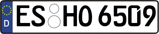 ES-HO6509