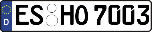ES-HO7003