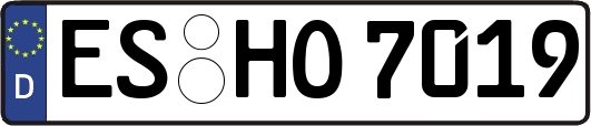 ES-HO7019