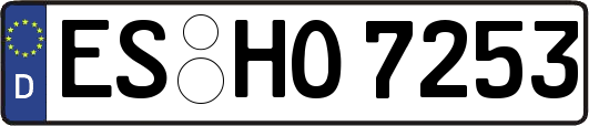 ES-HO7253
