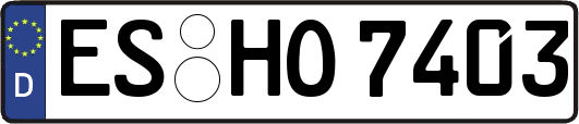 ES-HO7403