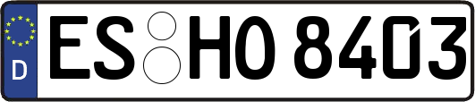 ES-HO8403