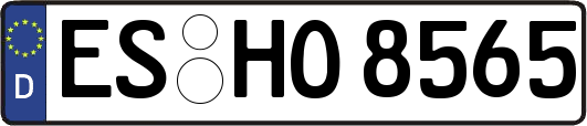 ES-HO8565