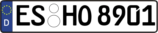ES-HO8901