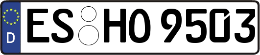 ES-HO9503