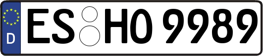 ES-HO9989