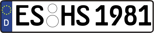 ES-HS1981