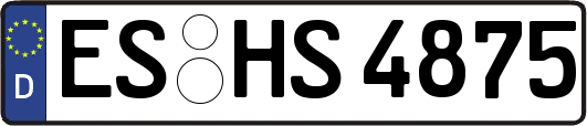 ES-HS4875