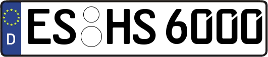 ES-HS6000