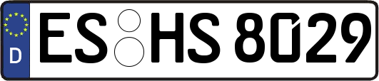 ES-HS8029