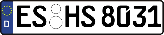 ES-HS8031