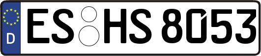 ES-HS8053