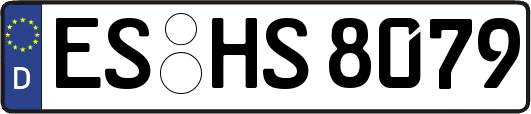 ES-HS8079