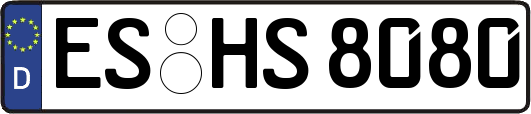 ES-HS8080