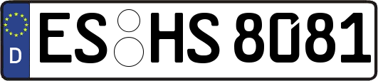 ES-HS8081