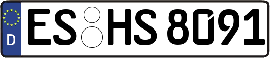 ES-HS8091