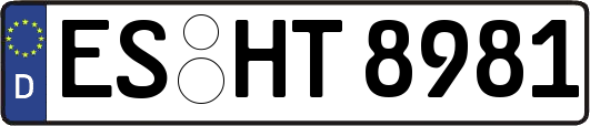 ES-HT8981