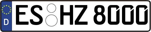ES-HZ8000