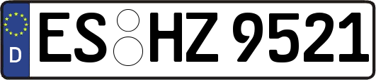 ES-HZ9521