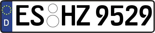 ES-HZ9529