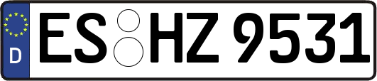 ES-HZ9531