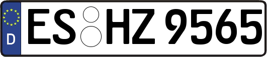 ES-HZ9565