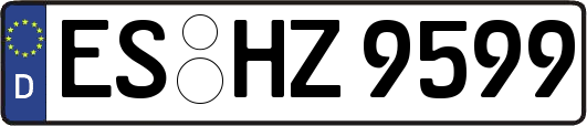 ES-HZ9599