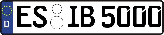 ES-IB5000