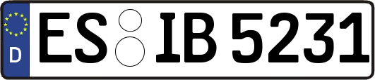 ES-IB5231