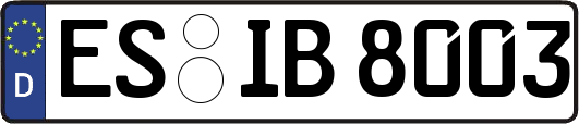 ES-IB8003