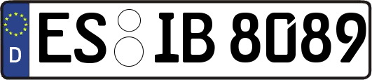 ES-IB8089