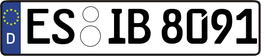 ES-IB8091