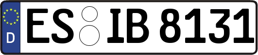 ES-IB8131