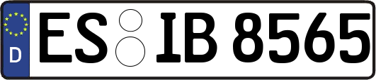 ES-IB8565