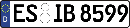 ES-IB8599