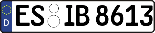 ES-IB8613