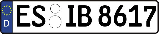 ES-IB8617
