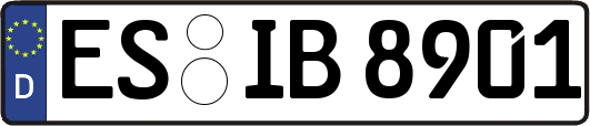 ES-IB8901