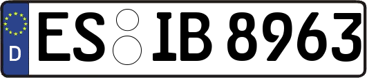 ES-IB8963