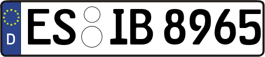 ES-IB8965