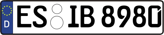 ES-IB8980