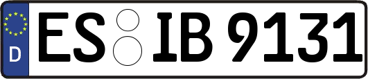 ES-IB9131