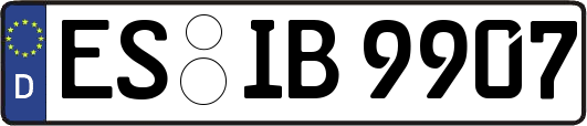 ES-IB9907