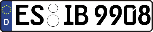 ES-IB9908