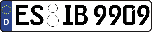 ES-IB9909