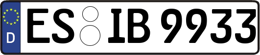 ES-IB9933