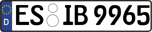 ES-IB9965